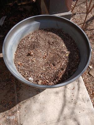 Better homes & Gardens planter - Flowerpot - Dura plastic pot