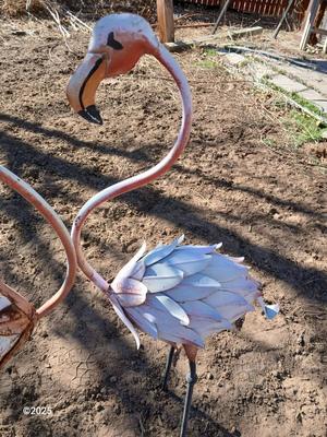 Two metal yard art flamingos
