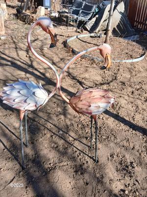 Two metal yard art flamingos