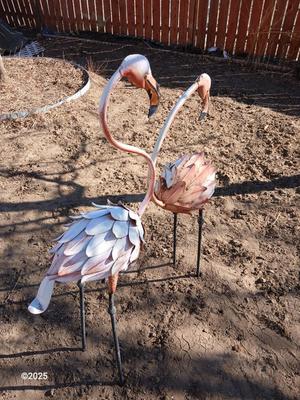 Two metal yard art flamingos