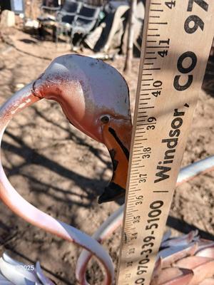 Two metal yard art flamingos