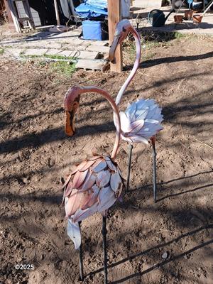 Two metal yard art flamingos