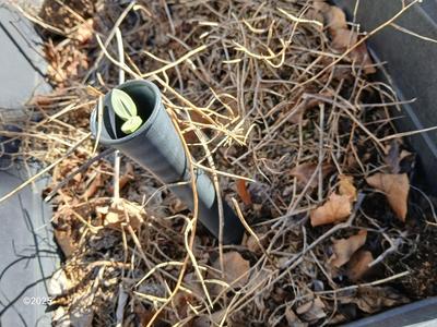 Raised garden bed with watering options and dirt (1 of 2)