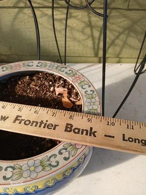 9" Fishbowl planter - Flowerpot - with two plant stands