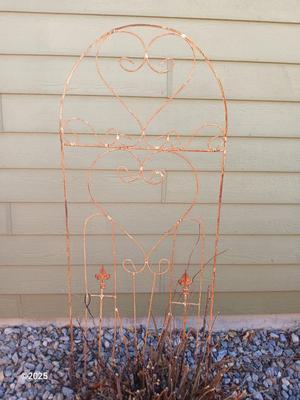 Antique Iron - heavy metal garden trellis (1 of 3)