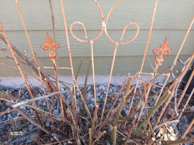 Antique Iron - heavy metal garden trellis (2 of 3)