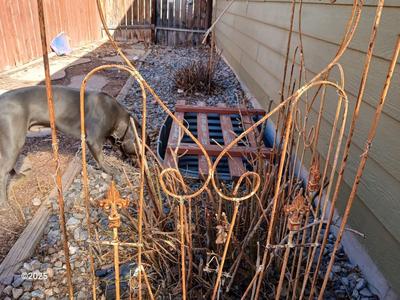 Antique Iron - heavy metal garden trellis (3 of 3)