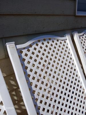 Three portable Lattice trellis panels with stakes for the ground
