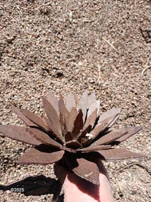 Handmade rustic yard art - flower and a horseshoe butterfly