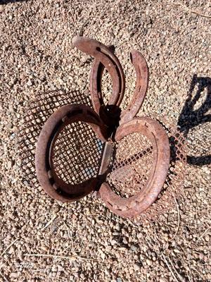 Handmade rustic yard art - flower and a horseshoe butterfly