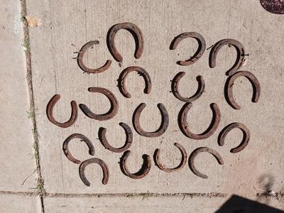 Large collection of rusty lucky Horseshoes for art -