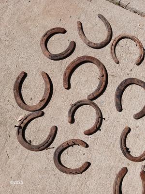 Large collection of rusty lucky Horseshoes for art -