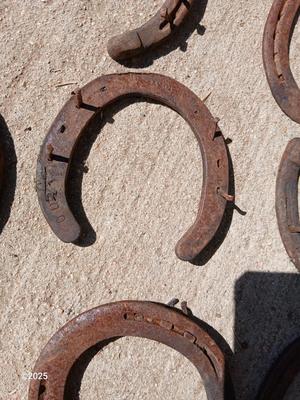Large collection of rusty lucky Horseshoes for art -