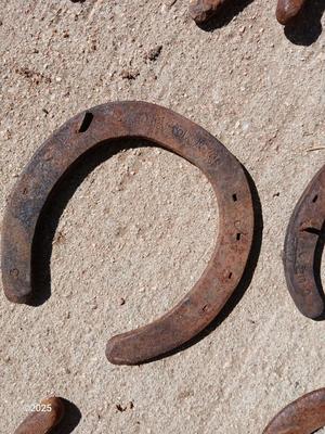 Large collection of rusty lucky Horseshoes for art -