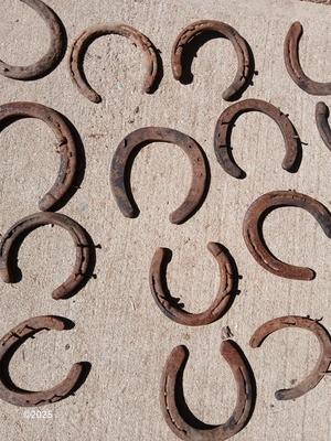 Large collection of rusty lucky Horseshoes for art -