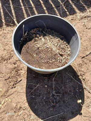 Dura plastic Planter - Flowerpot - Whisky barrel look pot (2 of 3)