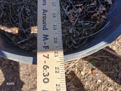 Dura plastic Planter - Flowerpot - Whisky barrel look pot (3 of 3)