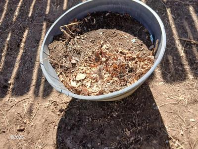 Dura plastic Planter - Flowerpot - Whisky barrel look pot (3 of 3)