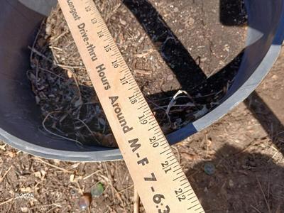 Dura plastic Planter - Flowerpot - Whisky barrel look pot (1 of 3)