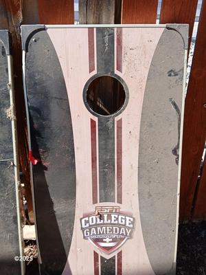 ESPN College Gameday Corn hole bean bag toss boards with beanbags - FUN GAME!