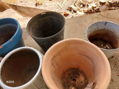 Assortment of small ceramic and terra cotta flowerpots - planters - Pots -