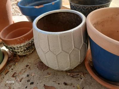 Assortment of small ceramic and terra cotta flowerpots - planters - Pots -