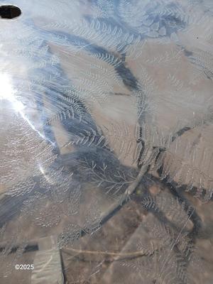 HUGE patio table with leaf imprint design on glass, 6 patio chairs and an umbrella stand