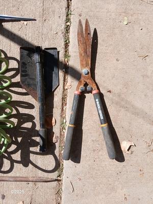 Garden hose, sprinklers, anda few handtools