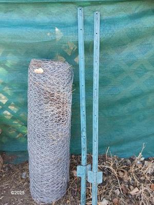 Roll of chicken wire with two garden t-posts