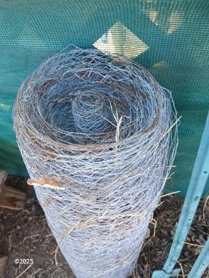 Roll of chicken wire with two garden t-posts