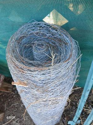 Roll of chicken wire with two garden t-posts