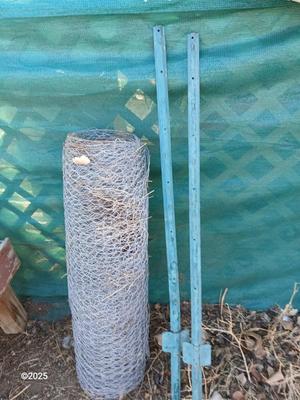 Roll of chicken wire with two garden t-posts