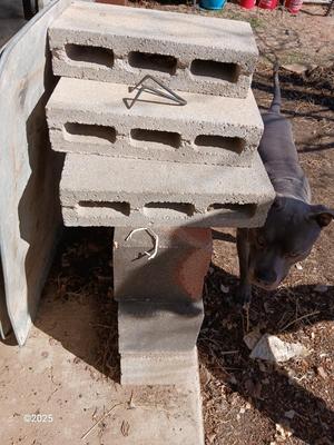 Assortment of bricks