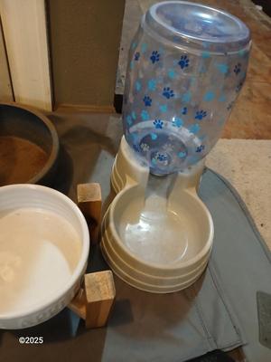 For the dogs & cats - Feed bowls - Safety cone - kennel cover- and more