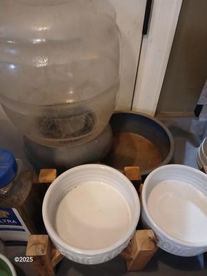 For the dogs & cats - Feed bowls - Safety cone - kennel cover- and more