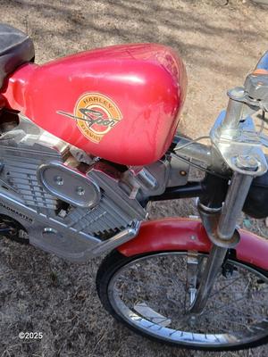 Child's sized Bicycle - Harley Davidson Sportster