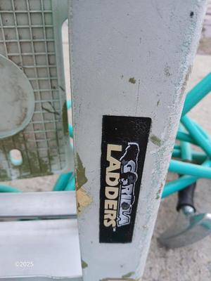 Gorilla Ladder