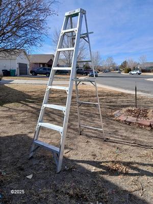 Gorilla Ladder