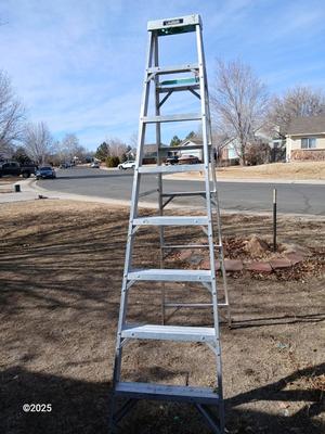 Gorilla Ladder