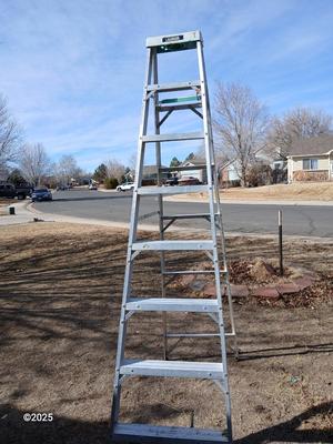 Gorilla Ladder