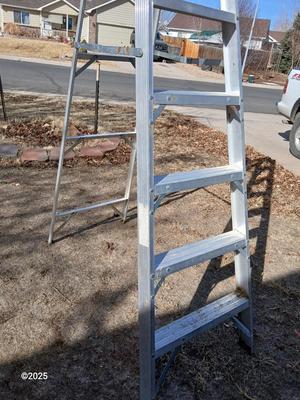 Gorilla Ladder