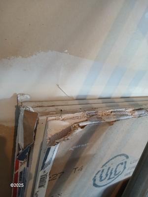 Four sheets of Fireguard X Gypsum board / Drywall with a Stanley Panel carry tool