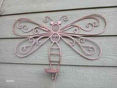 Metal Butterfly and a metal Dragon fly hose reel / holder