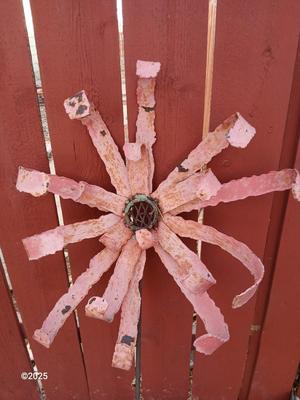 Handmade metal flower and stick horse made from rebar