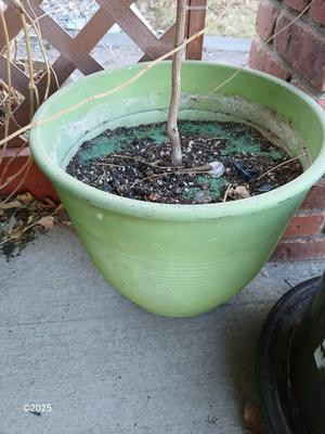 Large green planter - flowerpot - pot with a garden hose