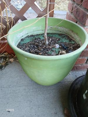Large green planter - flowerpot - pot with a garden hose