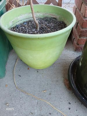 Large green planter - flowerpot - pot with a garden hose