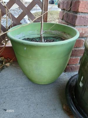 Large green planter - flowerpot - pot with a garden hose