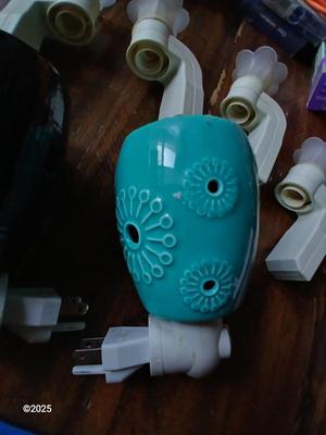Scentsy like nightlight burners and electric Bath & Body Works White Flower Top Wallflower Plug in Diffusers