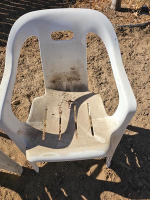Three plastic patio chairs